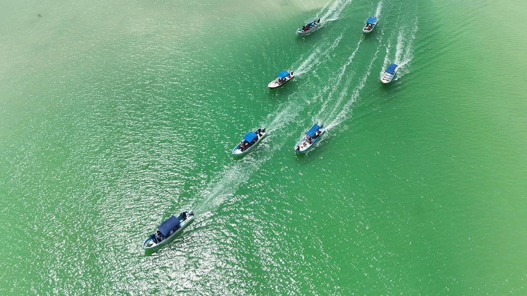 Sport Fishing at Chuburná