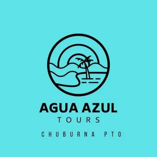 logo Agua Azul Tours