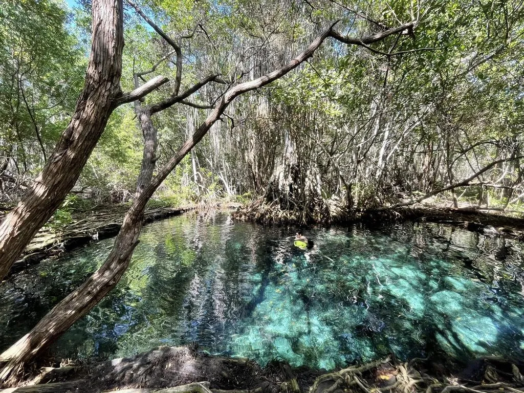 Ojo de Agua "Dzul-Ha"